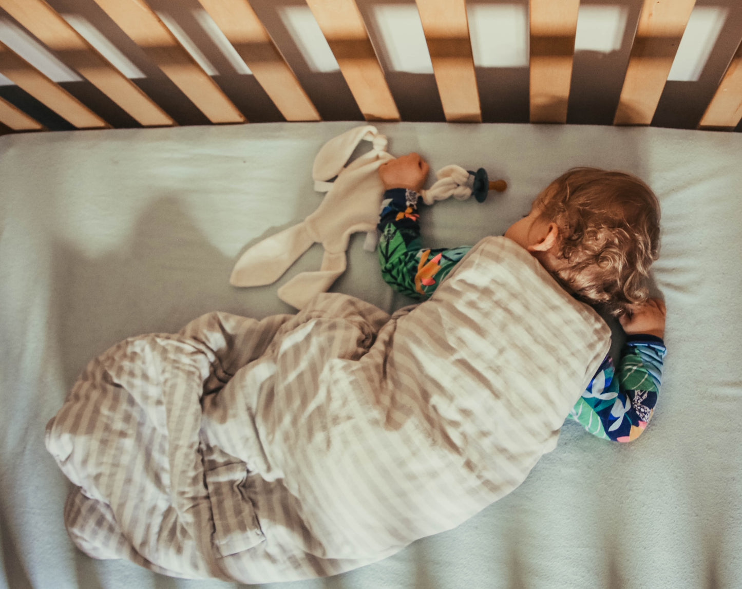 Bami: Plant-Based Comforter