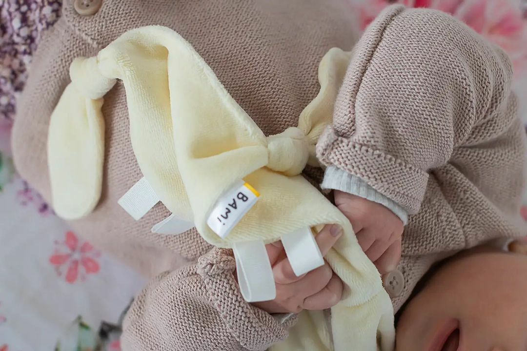 Bami: Plant-Based Comforter