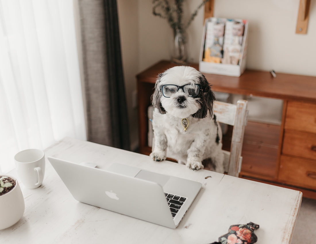 Our favorite photographer